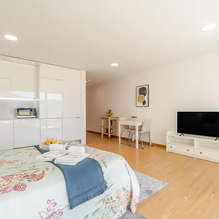 Host Wise Stylish With Garage * Oporto