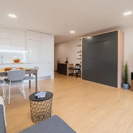 Host Wise Stylish With Garage *